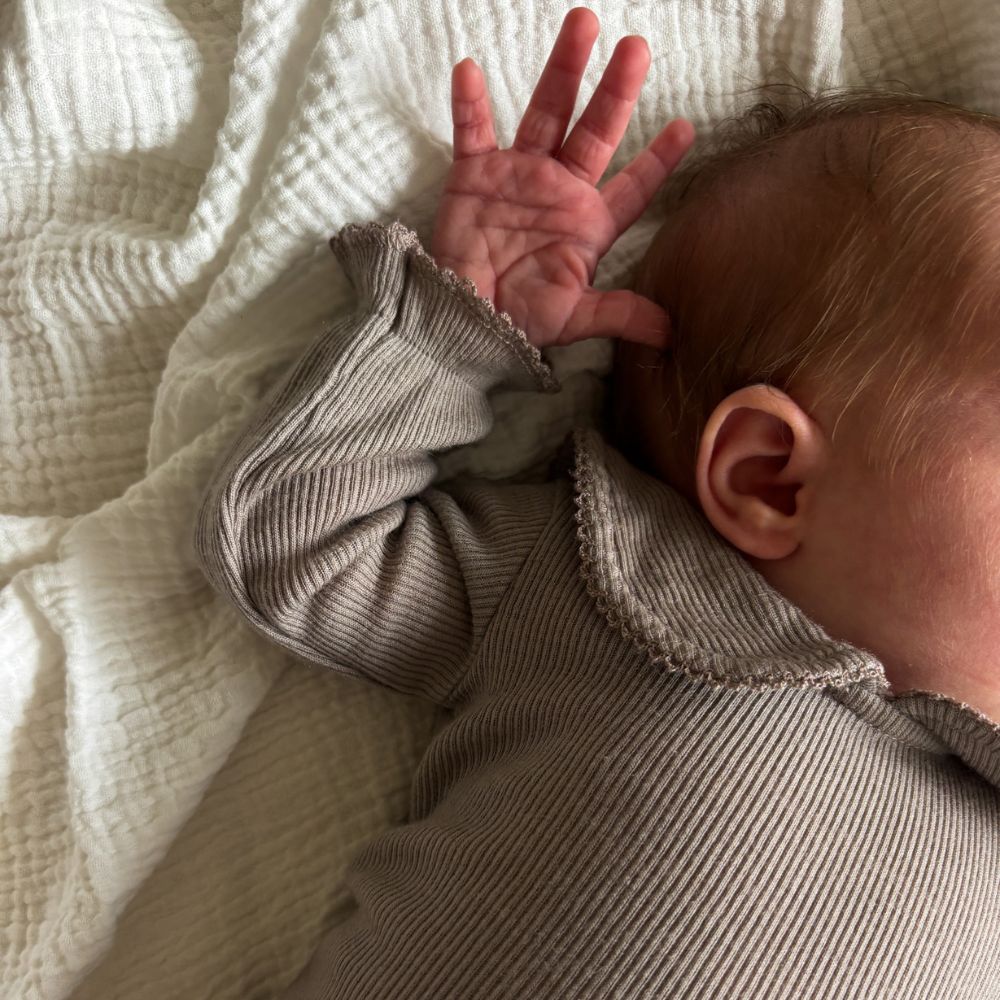 Collar Body - Long sleeve - 100% Wool - Rib - Taupe